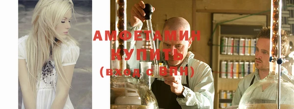 прущие грибы Магас
