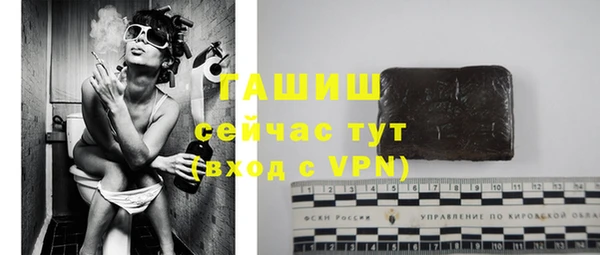 прущие грибы Магас