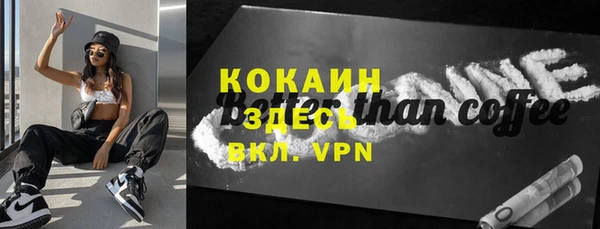 прущие грибы Магас