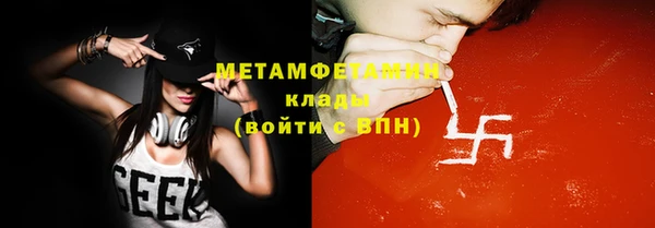 прущие грибы Магас