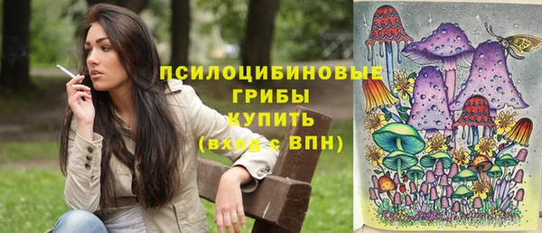прущие грибы Магас