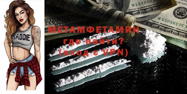 прущие грибы Магас