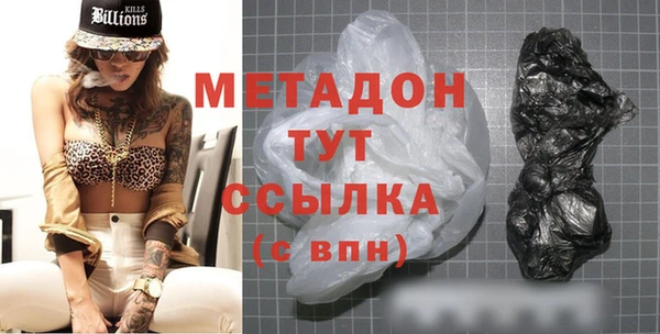 прущие грибы Магас