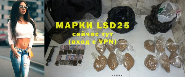 прущие грибы Магас