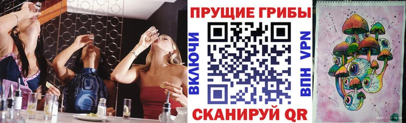 где купить наркоту  Плавск  Галлюциногенные грибы MAGIC MUSHROOMS 